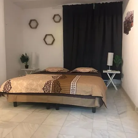 Apartment Large Centre
